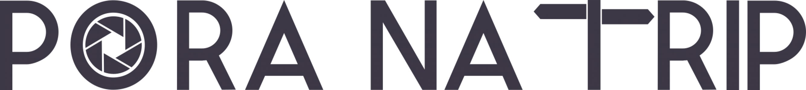 cropped-pnt_logo_gray-1.png